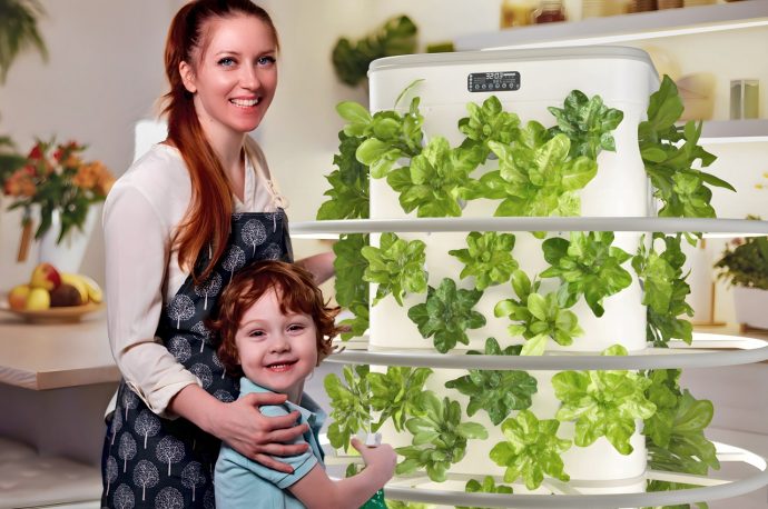 How this automated hydroponics indoor garden brings you healthy greens all year round