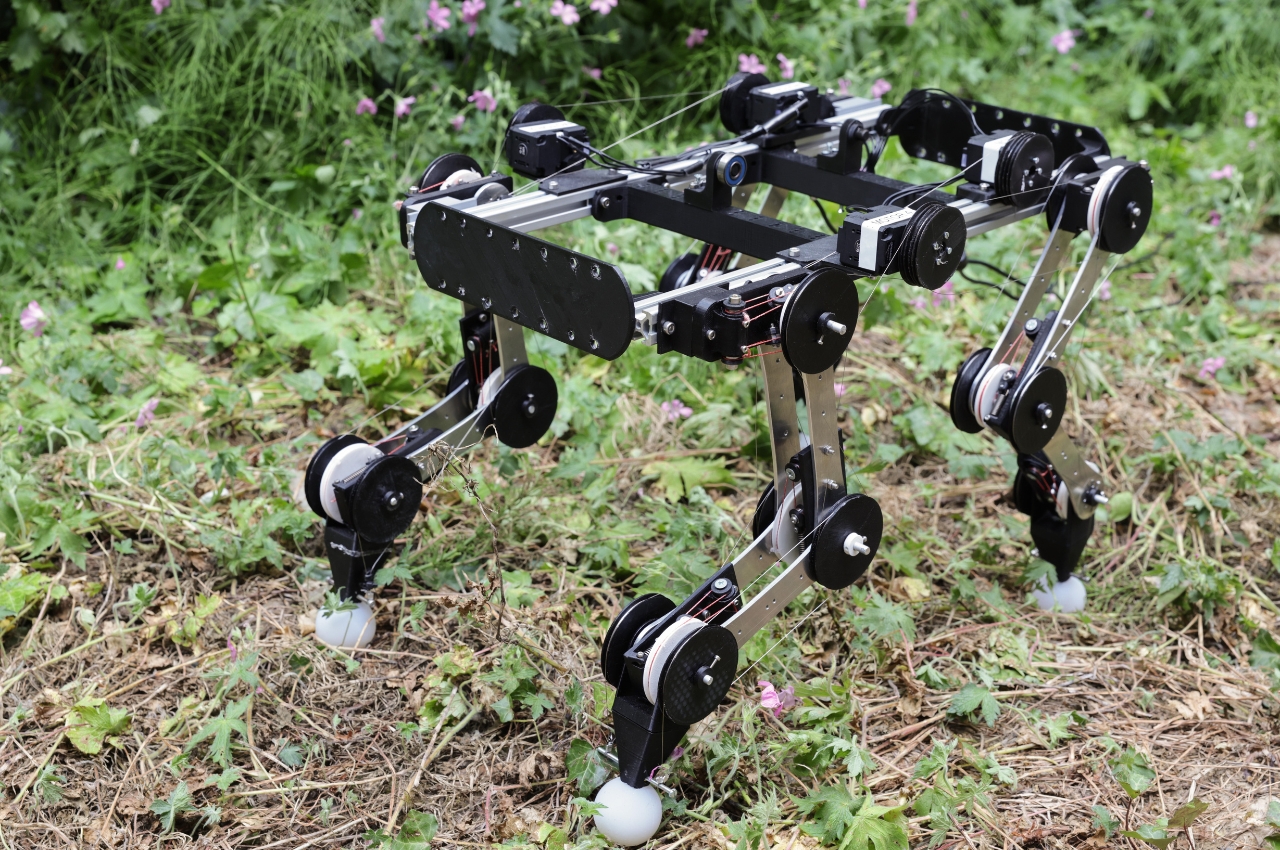#Move aside Boston Dynamics, this robotic dog can run “on its own” once you get it started