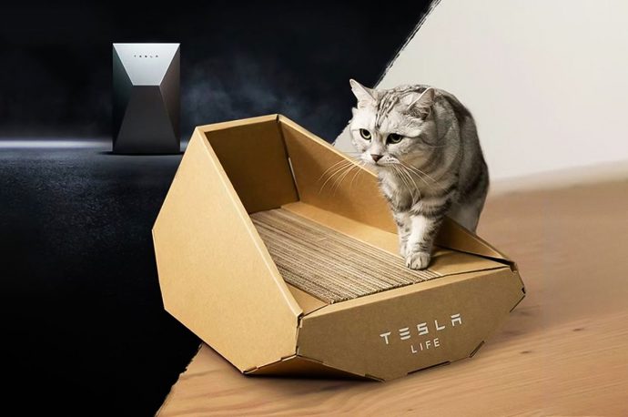 Tesla Shocks The Internet with A Cybertruck Cat Tray That Could Either Be A Bed Or Litter Box For Your Pet