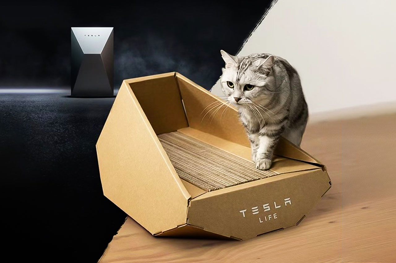 #Tesla Shocks The Internet with A Cybertruck Cat Tray That Could Either Be A Bed Or Litter Box For Your Pet