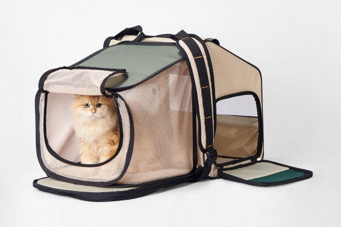 This Perfectly Spacious Cat Backpack Also Transforms Into A Cozy Pet Shelter