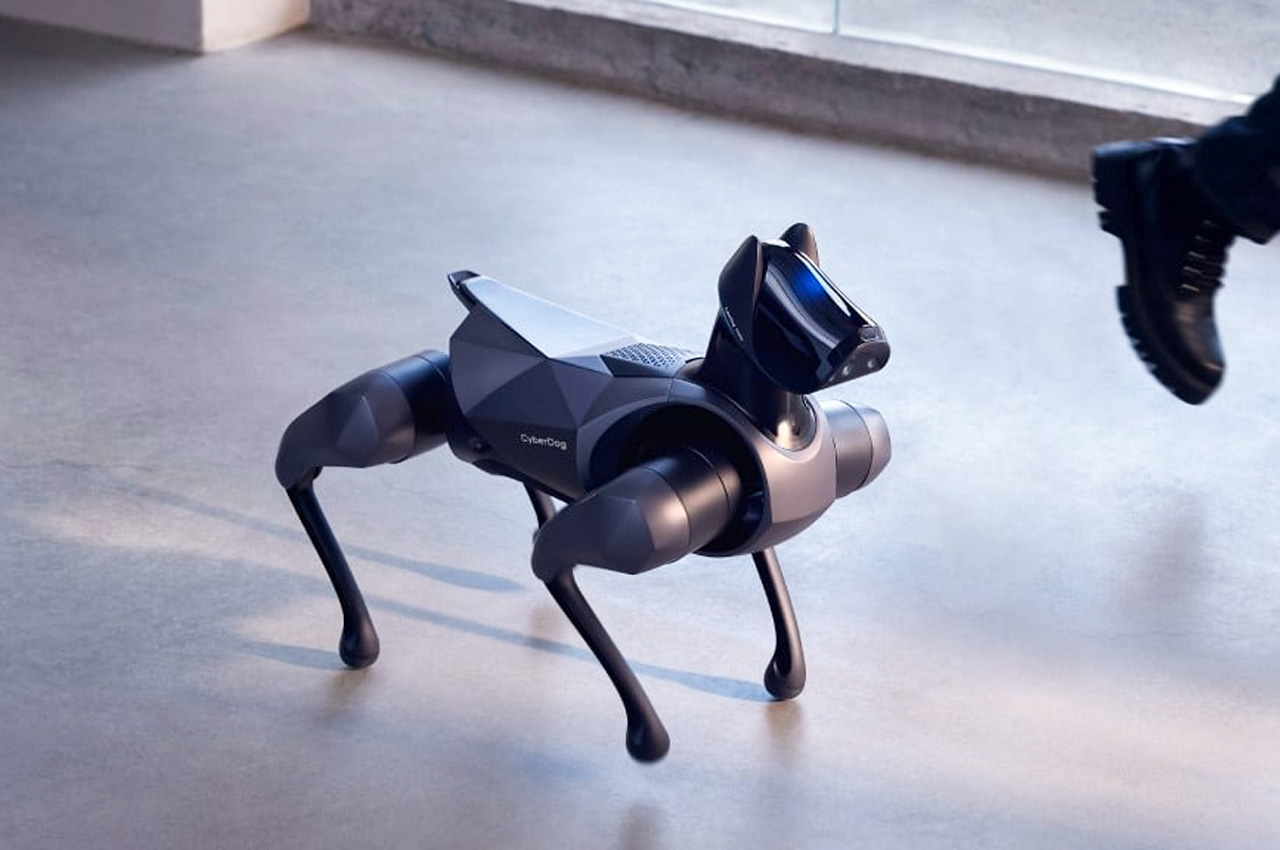 Xiaomi dévoile le CyberDog, un robot chien inspiré du Spot de Boston  Dynamics