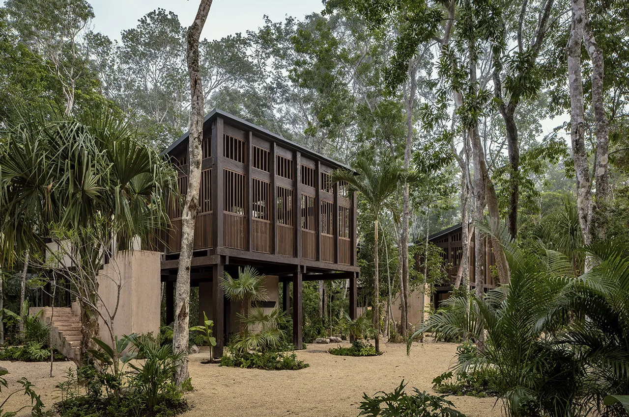 #This Mexican Hotel Is A Family Of Treehouses Designed To Improve Its Guests’ Mental Heath