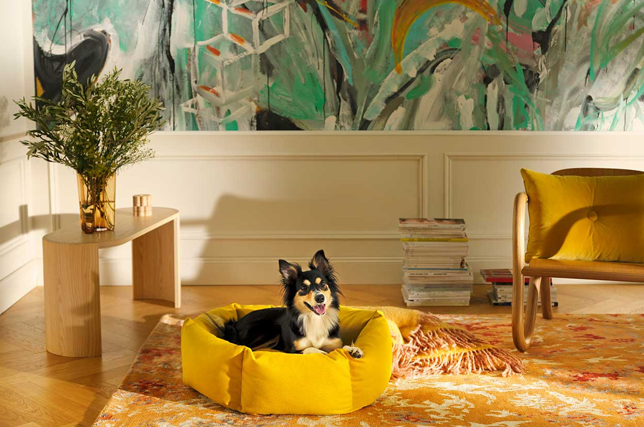 #The Best Dog Beds Ever Are Made Using Fabrics Found At The MoMA & Guggenheim