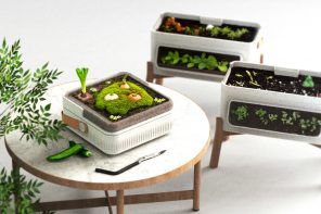 Eco-hub lets you regrow plants from organic waste