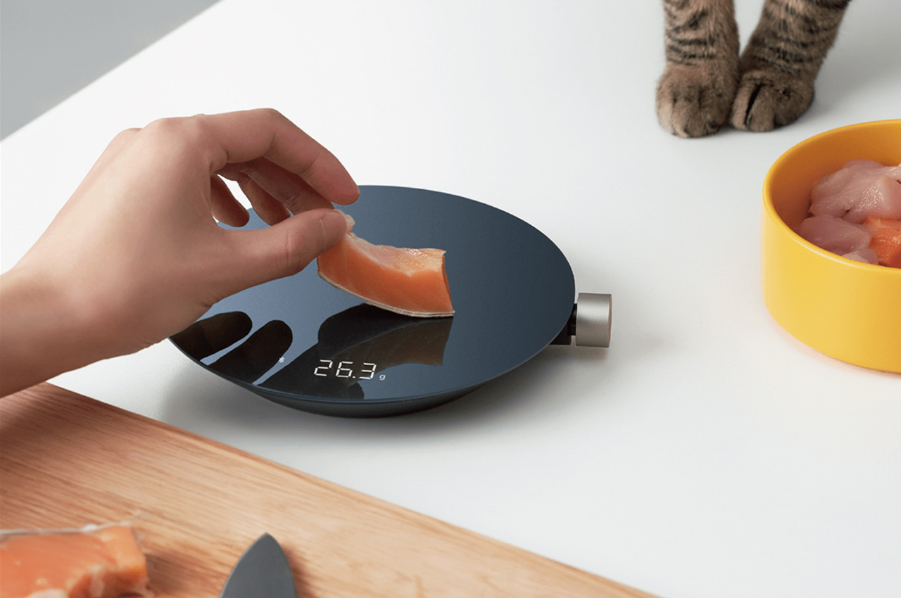 #Top 5 Underrated Smart Kitchen Accessories That Are A Must-Try For An Efficient Kitchen