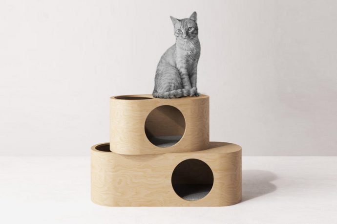 A Comfortable, Sustainable and Agile Cat House For Your Feline Friends