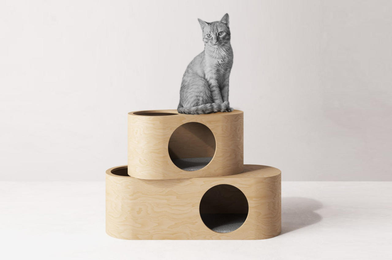 #A Comfortable, Sustainable and Agile Cat House For Your Feline Friends