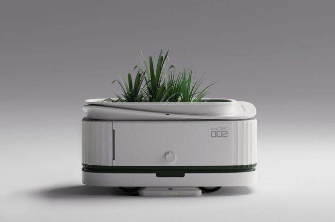 A Plant Companion That Moves With The Sun Fitting Perfectly Into The Korean Culture