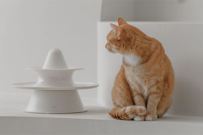 A Unique Pet Toy Inspired By Nature To Keep Your Pets Engaged