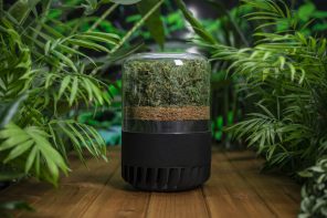 Nearly 70x more effective than House Plants: Eco-friendly Air Purifier uses a mini-forest to cleanse indoor air
