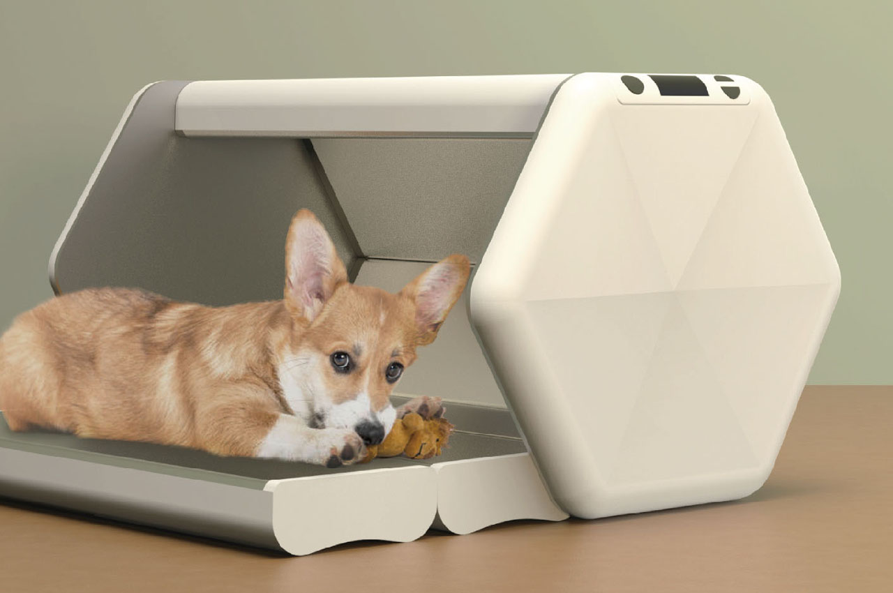 #This temperature-controlled dog bed makes sleep experience healthier and more comforting