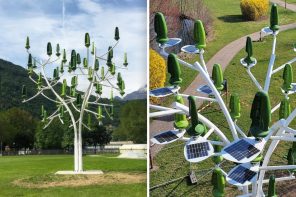 Tree with Solar Panels and Wind Turbines gives Nature-Inspired Clean Energy