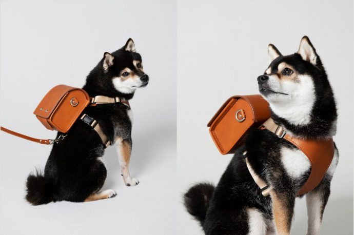 This Japanese Quirky Bag Designer Created these Stylish Leather Backpack To Amp Up Your Dog’s Style