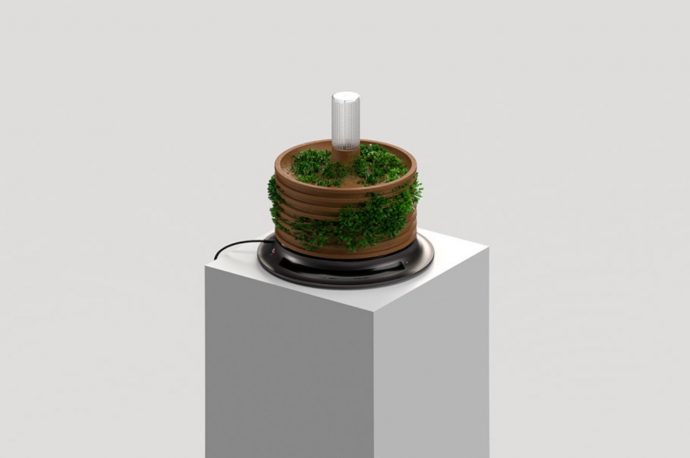 Combining Nature And Technology For Sustainable Plant Care