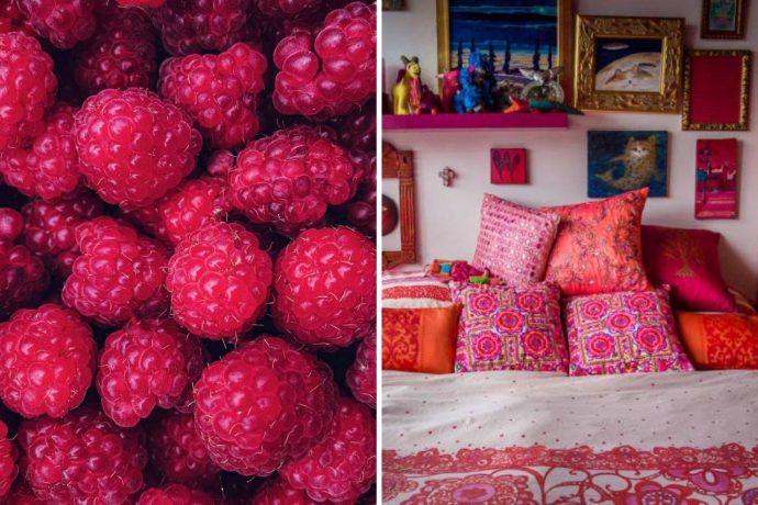 Etsy Announces ‘Berry’ As The 2024 Colour Of The Year Promoting A Romantic Shift From Pink To Maturity