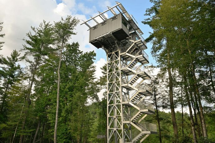 The River Forest Lookout Is A 60Ft Tall Shipping Container Tiny Home To Consider For Your Next Holiday Rental