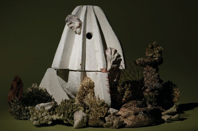 Bio-Cement: A Potential Material That May Replace Regular Cement