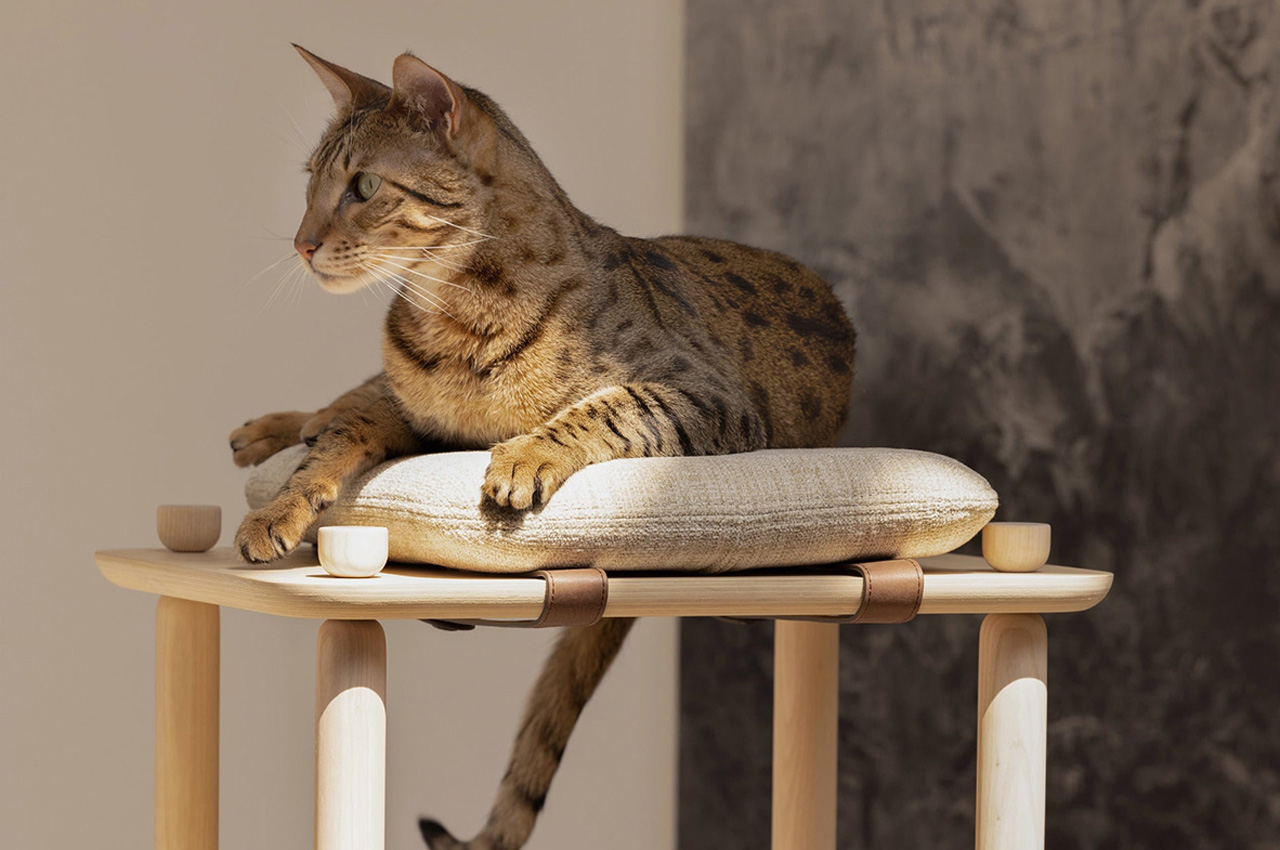 #Tasteful & Functional Cat Tree Is Designed As An Excellent Alternative To Cheaply Made Cat Furniture