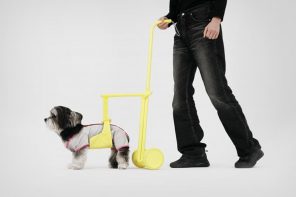Is Your Elderly Dog Facing Issues While Walking? This Walking Aid Was Designed For You