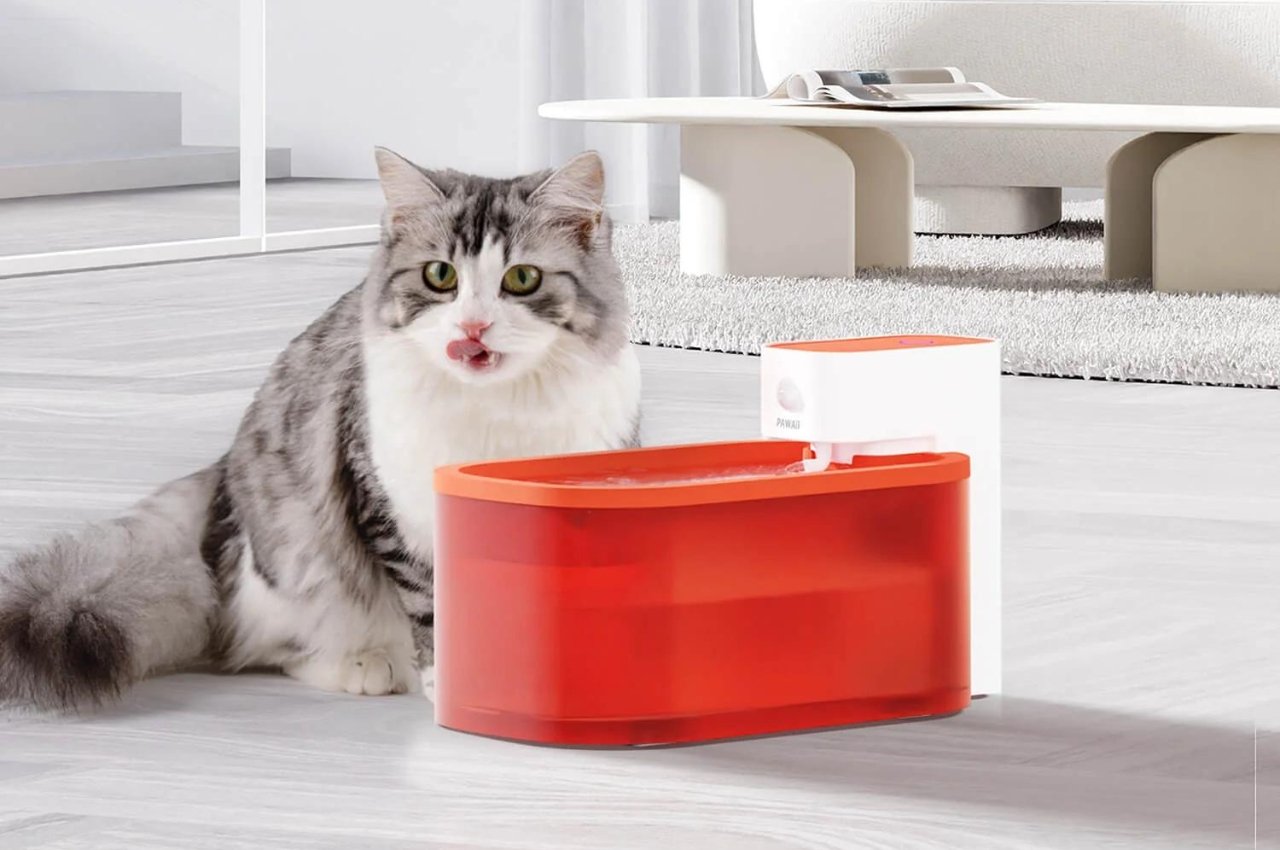 #Pet water fountain lets you automate filtered water for your fur babies