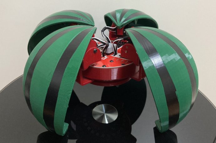 Cute quadruped robot is actually a watermelon in disguise