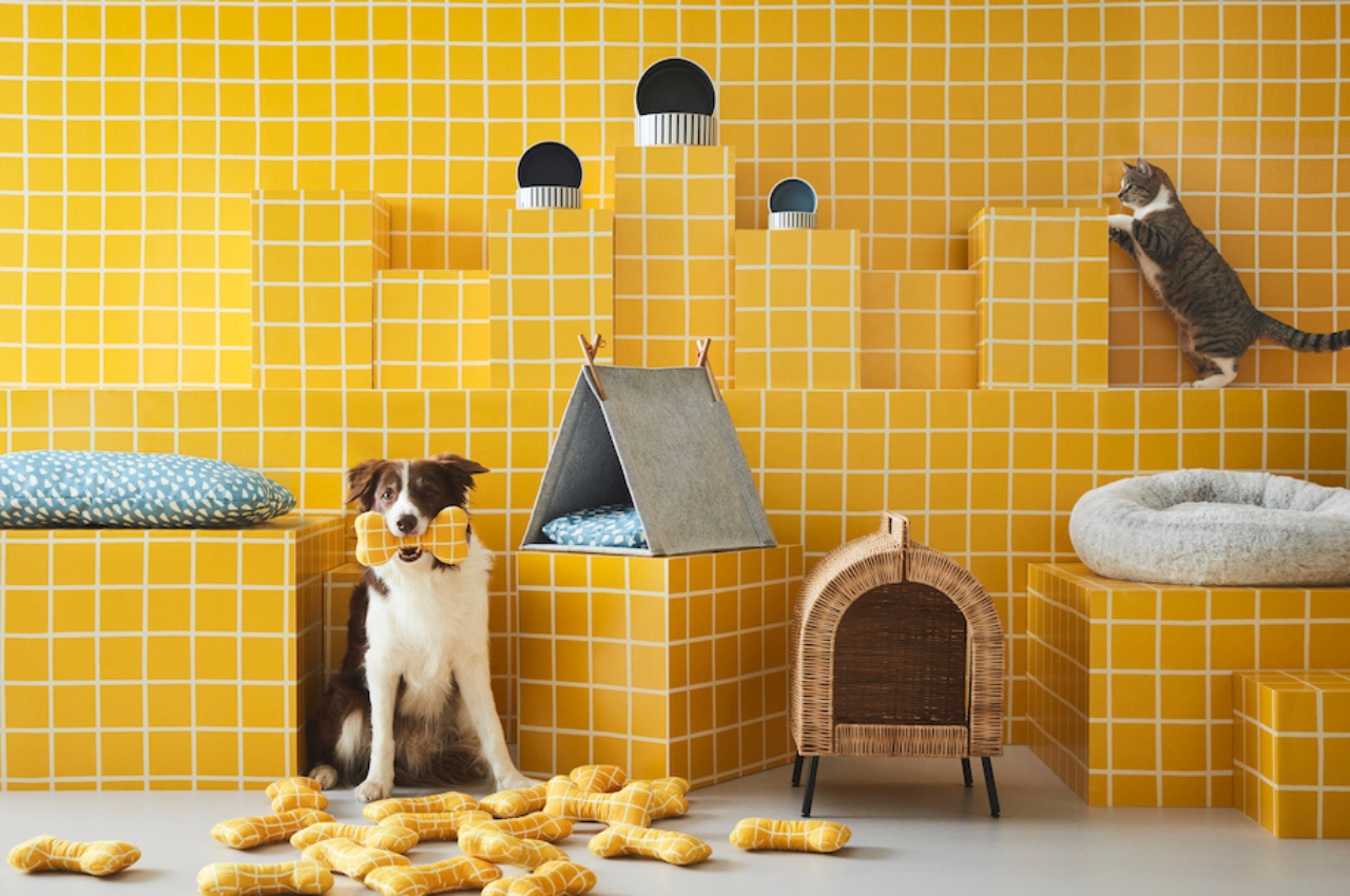#IKEA pet accessories collection is the minimalist vibe for fur babies