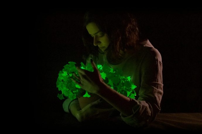 Glow-in-the-dark petunias could usher in a new trend in indoor gardening