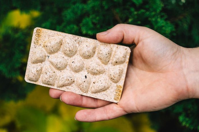 Eco-friendly seed-pods made from plant and seafood waste could revolutionize bio-packaging