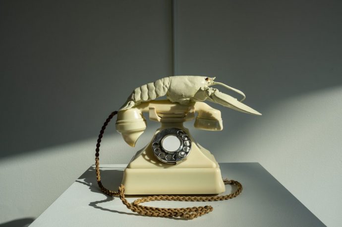 Art Exhibit honoring Salvador Dali lets you “Ask Dali” anything on his 120th Birthday