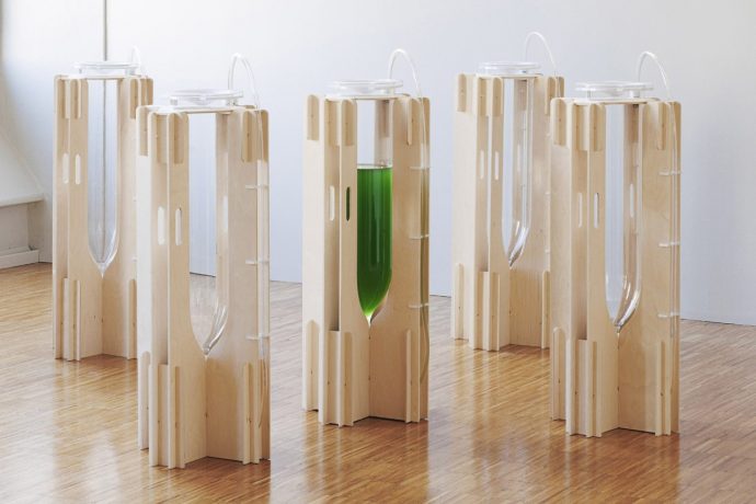 This Natural Air Purifier uses Algae to remove harmful chemicals from the air we breathe