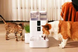 Cutting-edge Pet Water Fountain has a 10-liter reservoir and a multi-stage filtration system