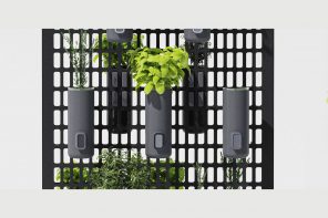 Herb growing panel concept can help restaurants reuse water