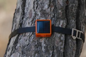 Forest fire sensor system can detect danger within the first 15 minutes