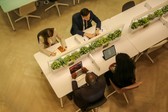How to Integrate Nature into Your Office: A Guide to Biophilic Design