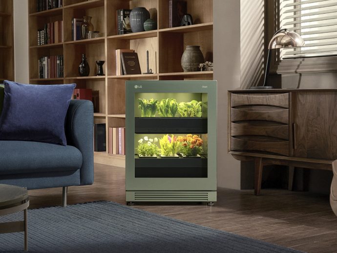 10 Best Plant-Friendly Designs For Gardening & Plant Enthusiasts