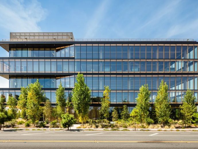 Google Unveil’s Its First Mass Timber Building That Looks After The Environment & Employees