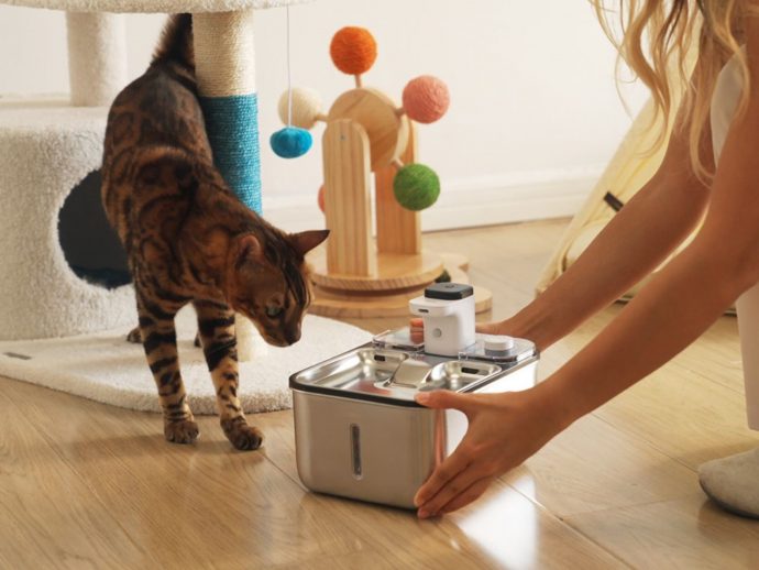 This Quiet, Smart, Eco-Friendly Cat Fountain Will Keep Your Pet Hydrated And Happy At All Times
