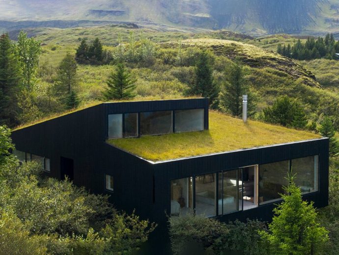 Biophilic Design Explained: 6 Elements for a Nature-Inspired Home