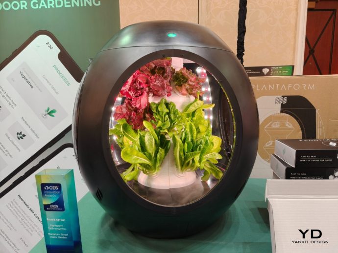 10 Best Indoor Planters That Are Design-Forward Solutions For Effortless Home Gardening
