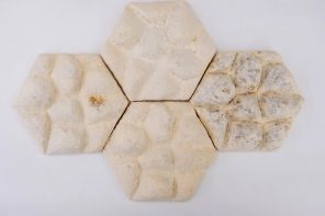 “Elephant Skin” Mycelium Tiles can cool down buildings