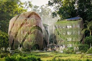 What are Vertical Gardens? The Eco-Friendly Design That’s Taking Over