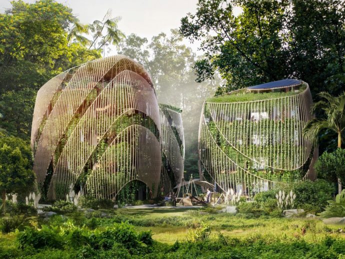 What are Vertical Gardens? The Eco-Friendly Design That’s Taking Over