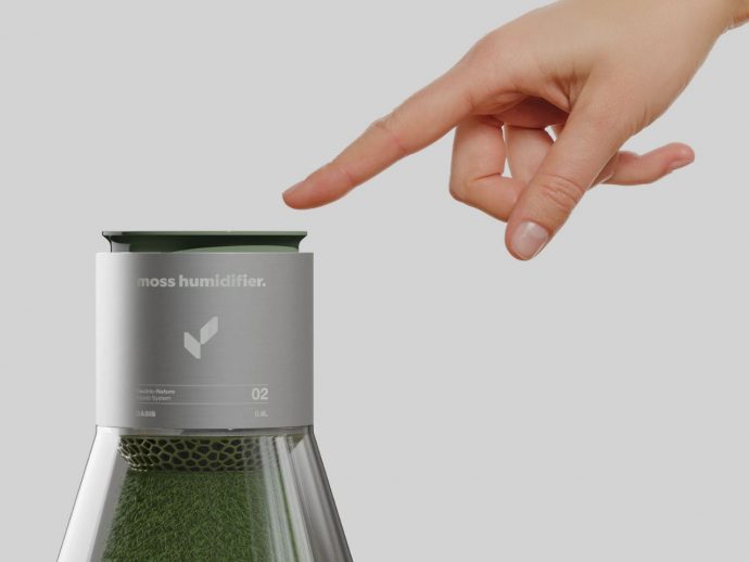 This Moss Humidifier Blends Nature and Technology for Healthier Homes