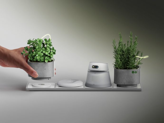 Oasis is a smart, emotional smart plant pot to boost mood, focus, well-being