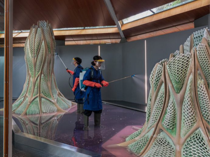 This ‘Living Building’ uses Bio-Cement that absorbs CO2, making the architecture carbon negative