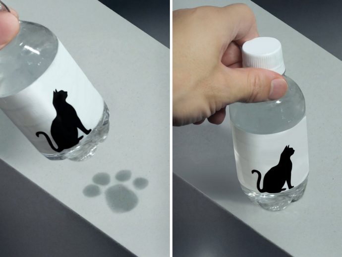 Adorable ‘Pet Paw’ bottle leaves cute pawprints instead of ugly water rings