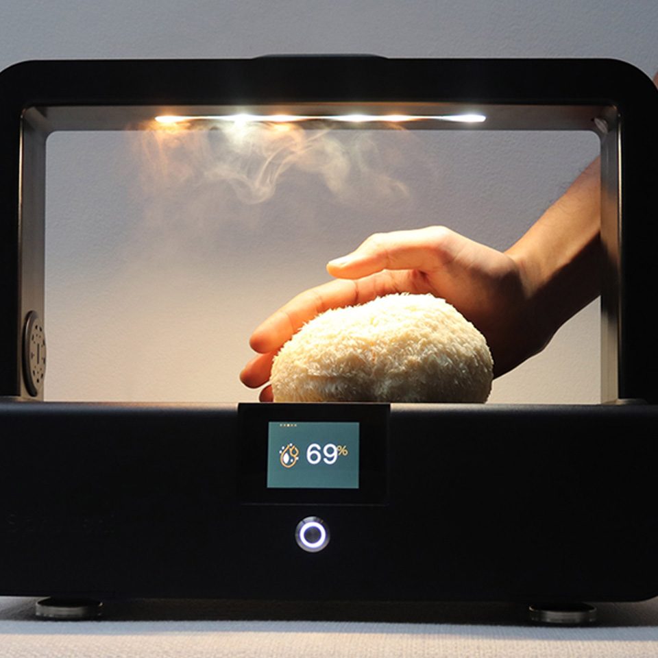 This AI-powered Mushroom Grow Kit gives you gourmet mushrooms in