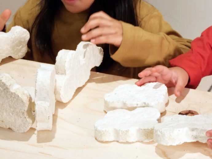 Mushroom mycelium toy kit lets kids grow own eco-friendly toys