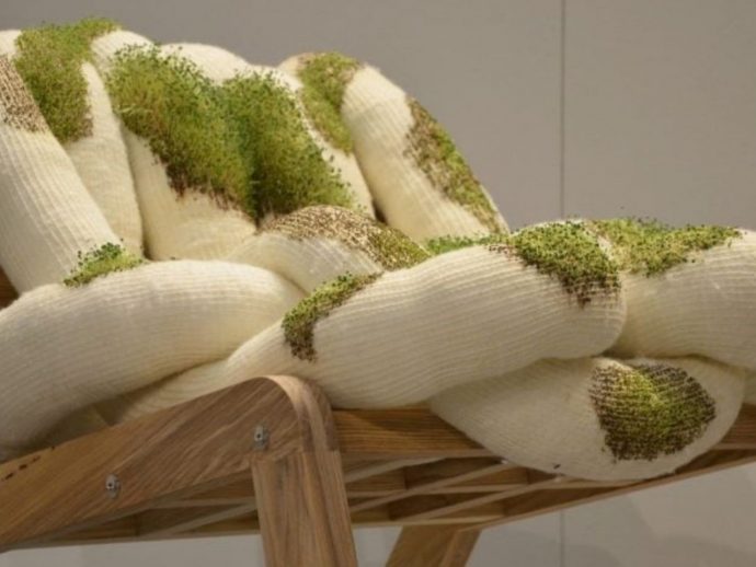 Top 5 Biophilic Design Trends for Indoors: Illuminated Greenery and Functional Plant Solutions